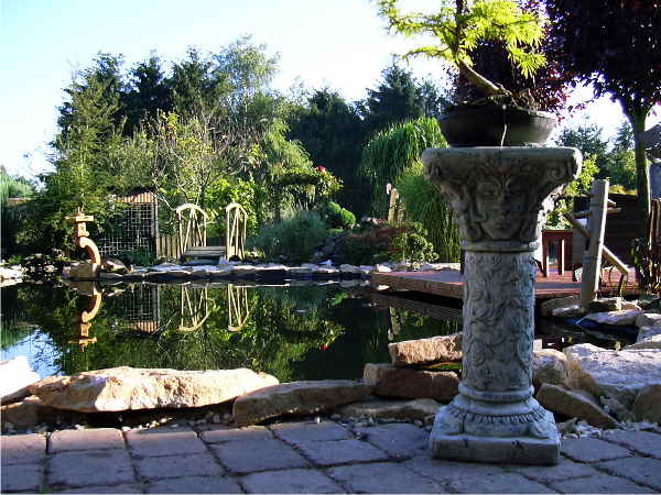 Koi_Teich