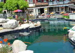Koi_shop