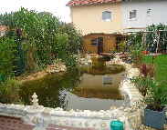 Teich