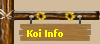 Koi Info