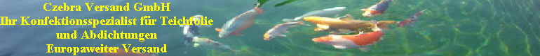 koi_logo