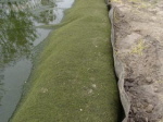 Kapillarsperre am Teich mit Wall